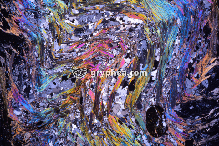 Micaschiste à sillimanite LPA x1,6 - gryphea.com